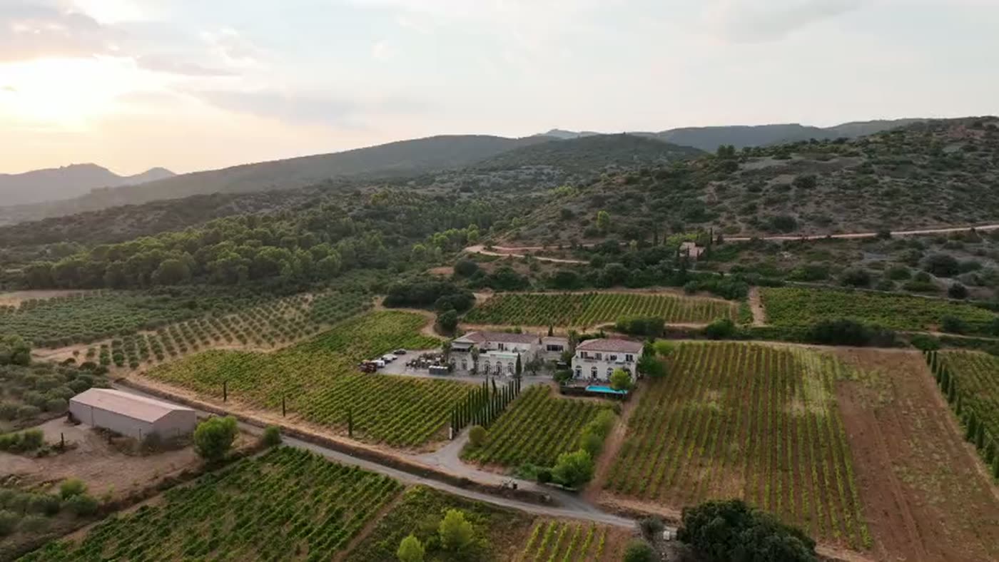 Vue aérienne d'un mas et de ses dépendances au milieu des vignes, collines à l'horizon.